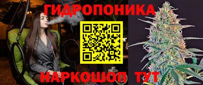 тгк Кузнецк