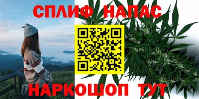 спиды Изобильный