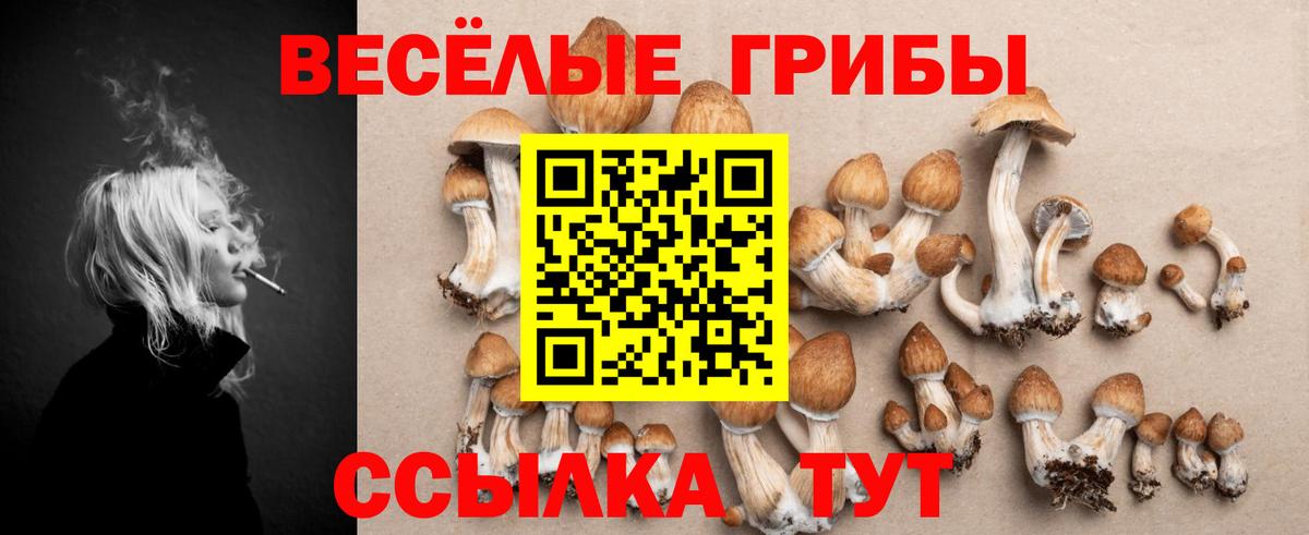 Псилоцибиновые грибы GOLDEN TEACHER  Вход с VPN  Галлюциногенные грибы MAGIC MUSHROOMS  Кохма 