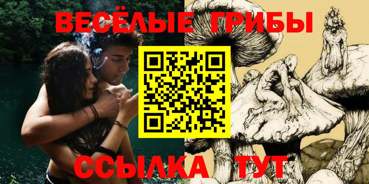 Галлюциногенные грибы прущие грибы Кохма